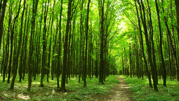 Welcome to Abundant Hope Naturals Blog