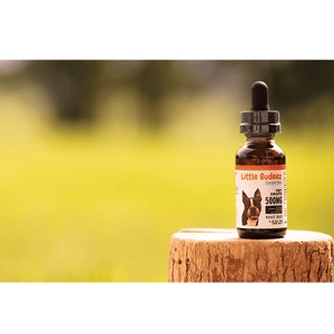 CBD Oil for Pets - 500mg - Abundant Hope Naturals Richmond KY