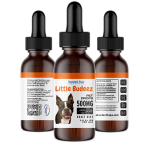 CBD Oil for Pets - 500mg